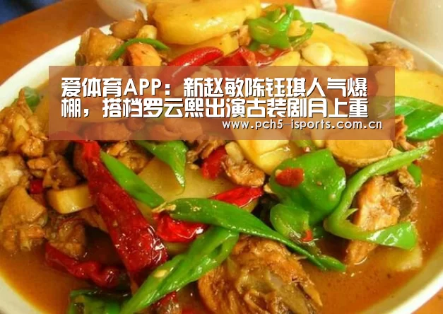 爱体育APP：新赵敏陈钰琪人气爆棚，搭档罗云熙出演古装剧月上重火
