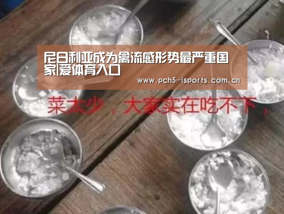 尼日利亚成为禽流感形势最严重国家|爱体育入口